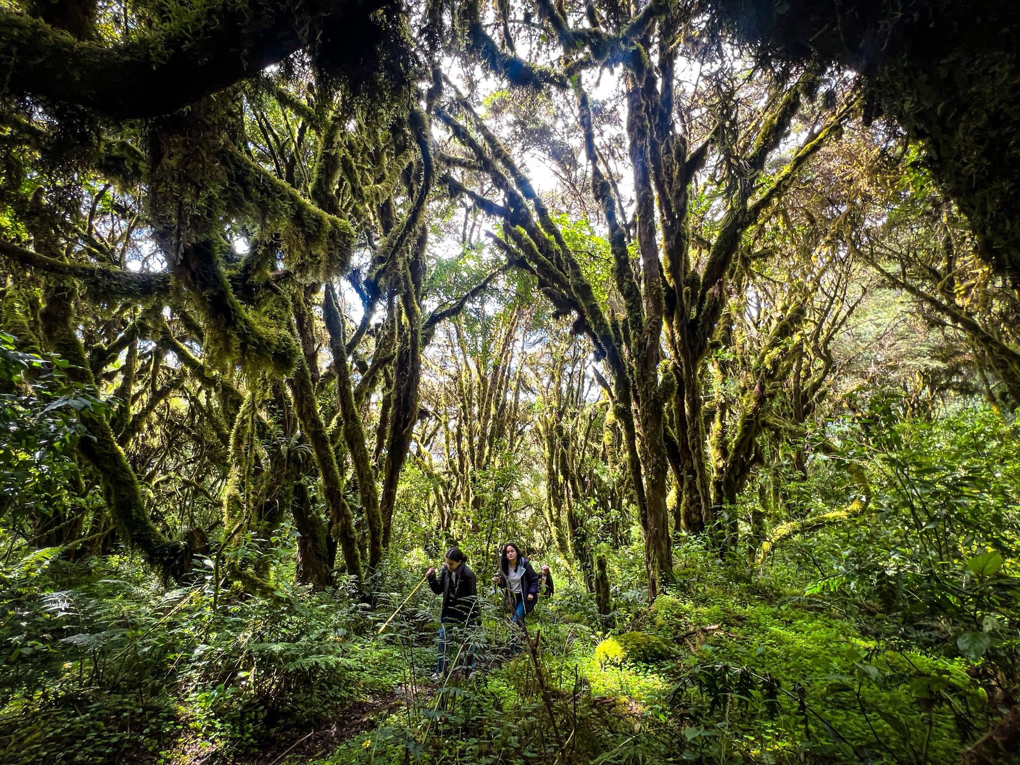 Full Day Santuario Nacional del Ampay 2